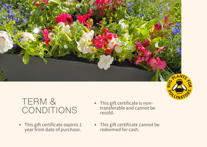 Brush & Bloom Gift Card