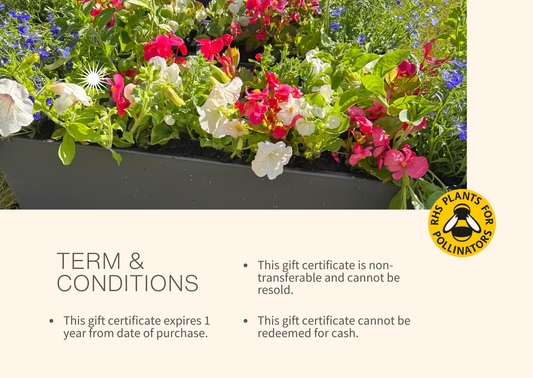 Brush & Bloom Gift Card