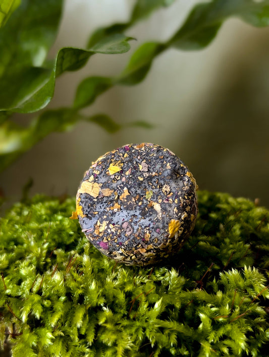 Don't Just Live, Bloom Wildflower Seed Bombs
