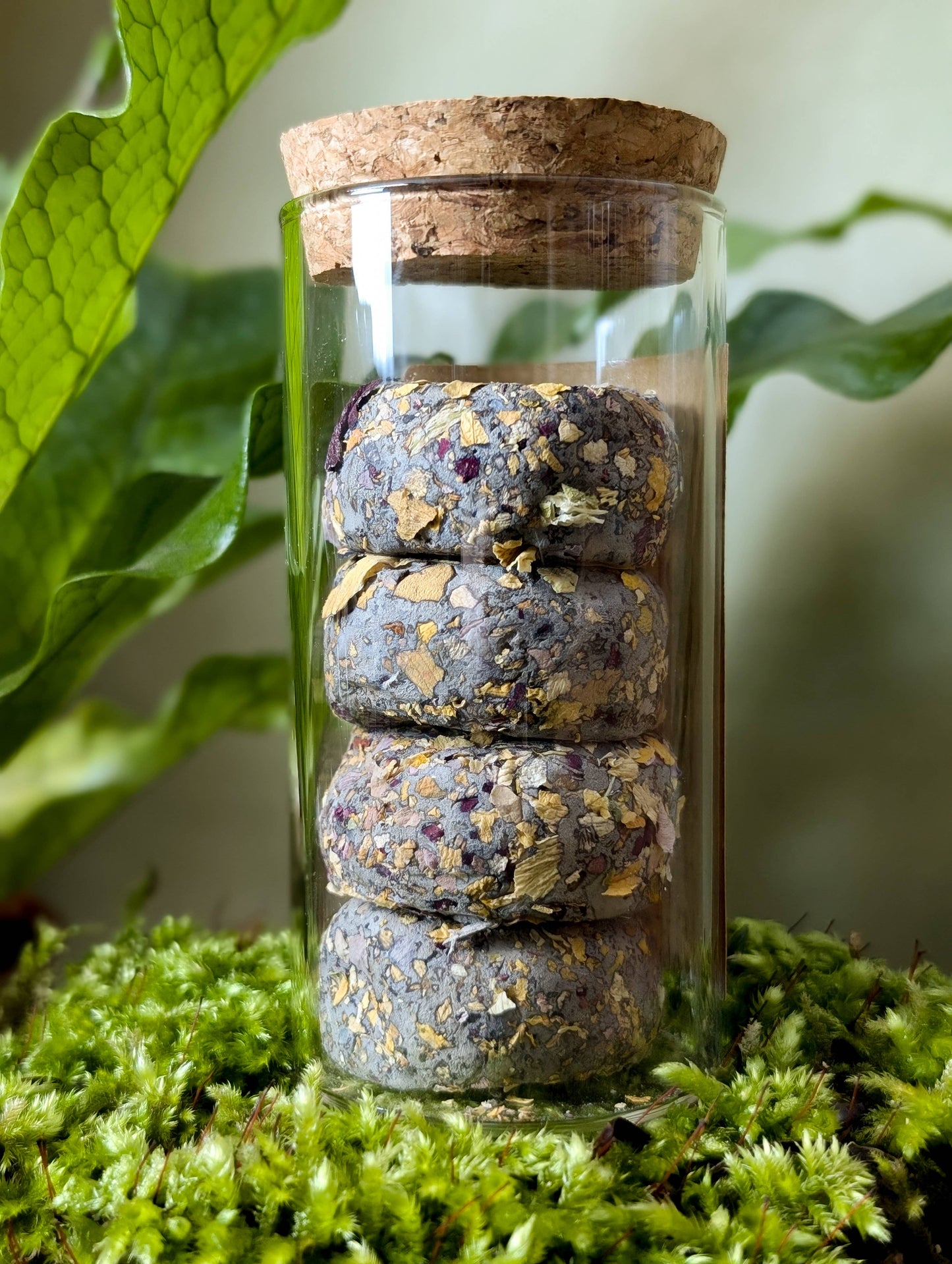 Don't Just Live, Bloom Wildflower Seed Bombs