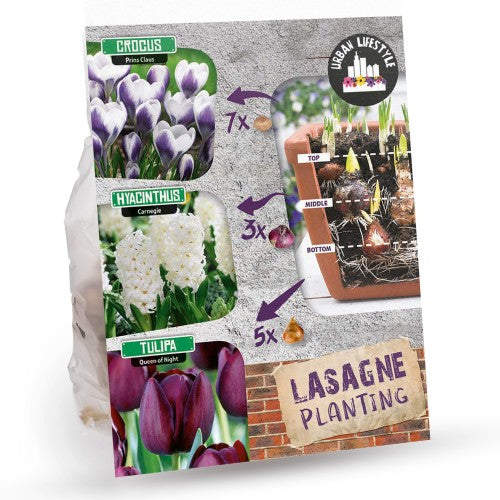 Royal De Ree Holland Pink Lasagne Mix: Daffodil Replete, Hyacinthus Pink Pearl, Tulip Toronto 11 Bulbs Ready for Planting Now