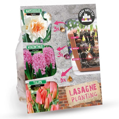 Royal De Ree Holland Pink Lasagne Mix: Daffodil Replete, Hyacinthus Pink Pearl, Tulip Toronto 11 Bulbs Ready for Planting Now