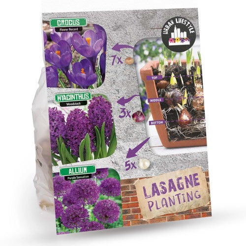Royal De Ree Holland Pink Lasagne Mix: Daffodil Replete, Hyacinthus Pink Pearl, Tulip Toronto 11 Bulbs Ready for Planting Now