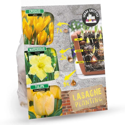 Royal De Ree Holland Pink Lasagne Mix: Daffodil Replete, Hyacinthus Pink Pearl, Tulip Toronto 11 Bulbs Ready for Planting Now
