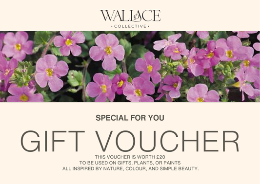 Brush & Bloom Gift Card